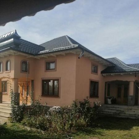 Casa Ilea -Agapia Villa Buitenkant foto