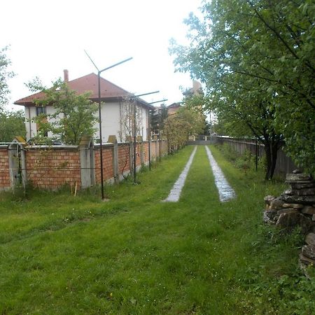 Casa Ilea -Agapia Villa Buitenkant foto