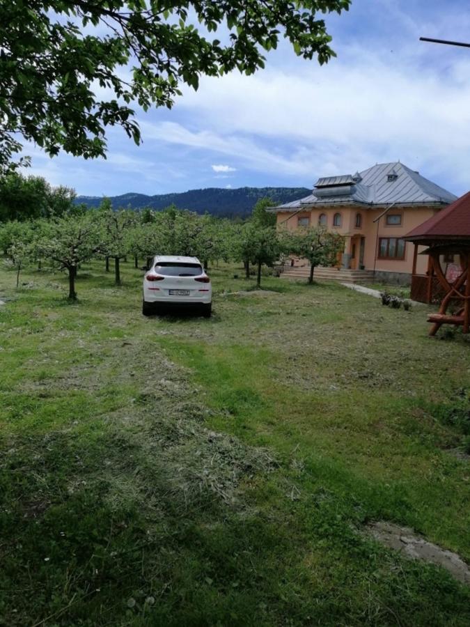 Casa Ilea -Agapia Villa Buitenkant foto