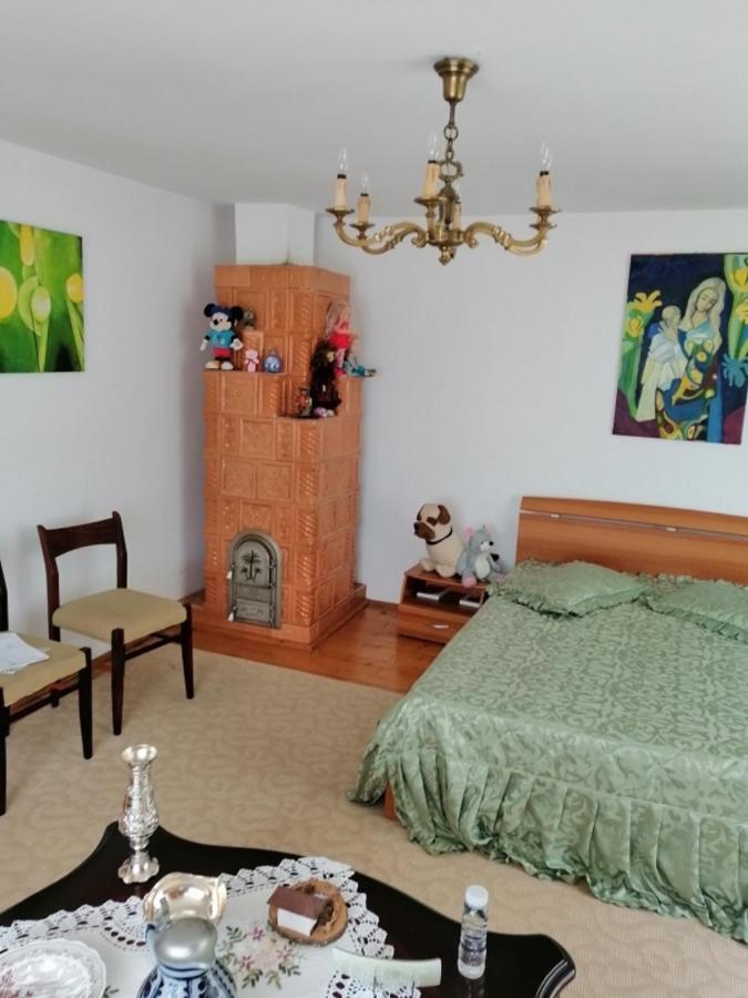 Casa Ilea -Agapia Villa Buitenkant foto