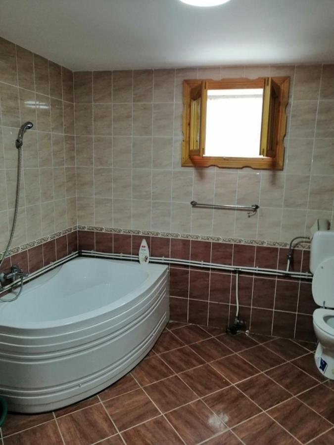 Casa Ilea -Agapia Villa Buitenkant foto